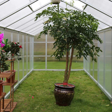 New 8' x 20' Aluminum Frame Greenhouse w/4 mm Twin Wall Polycarbonate Panels, UV Protected Panels